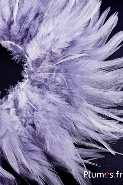 Frange coq - long. plumes 10-15 cm - gris